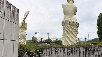 20210508_061743201_ios_thumb.jpg