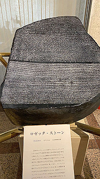 20210508_062030095_ios_thumb.jpg
