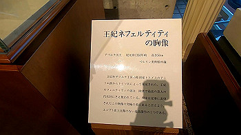 gx011843_x264.mp4_snapshot_00.49_thumb.jpg