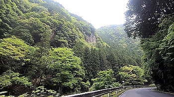 gx011805_x264.mp4_snapshot_03.13_thumb.jpg