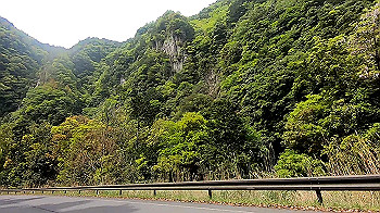 gx011807_x264.mp4_snapshot_00.30_thumb.jpg