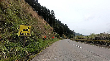 gx011812_x264.mp4_snapshot_02.43_thumb.jpg
