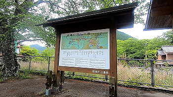 gx011822_x264.mp4_snapshot_12.41_thumb.jpg