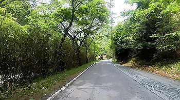 gx011826_x264.mp4_snapshot_00.47_thumb.jpg