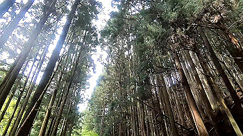 gx011826_x264.mp4_snapshot_03.26_thumb.jpg