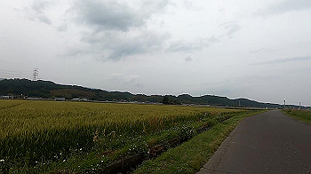 gx011835_x264.mp4_snapshot_01.41_thumb.jpg
