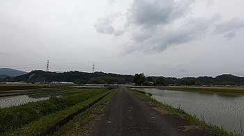 gx011836_x264.mp4_snapshot_00.01_thumb.jpg
