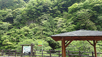 p5080096_thumb.jpg