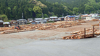 p5080115_thumb.jpg