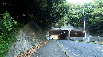 gx011916.mp4_snapshot_00.00_thumb.jpg