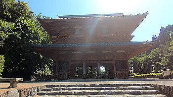 gx011920.mp4_snapshot_00.00_thumb.jpg