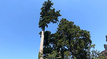 gx011920.mp4_snapshot_00.19_thumb.jpg