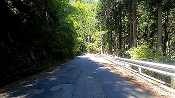 gx011924.mp4_snapshot_09.43_thumb.jpg
