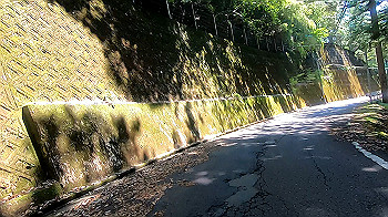 gx011925.mp4_snapshot_02.05_thumb.jpg