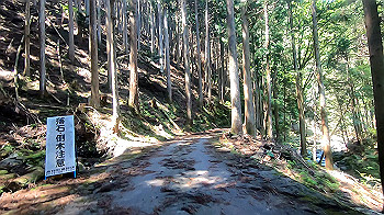 gx011926.mp4_snapshot_01.07_thumb.jpg
