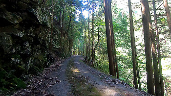 gx011926.mp4_snapshot_07.05_thumb.jpg