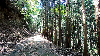 gx011927.mp4_snapshot_00.00_thumb.jpg