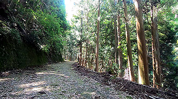 gx011927.mp4_snapshot_01.27_thumb.jpg