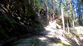 gx011928.mp4_snapshot_00.02_thumb.jpg
