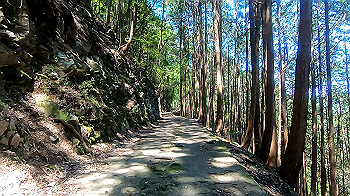 gx011928.mp4_snapshot_01.07_thumb.jpg