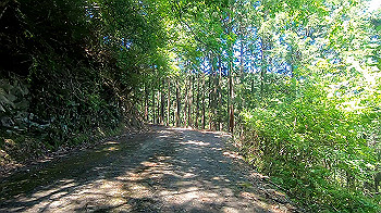 gx011928.mp4_snapshot_01.30_thumb.jpg
