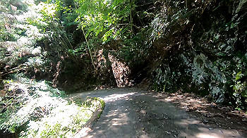 gx011929.mp4_snapshot_06.23_thumb.jpg