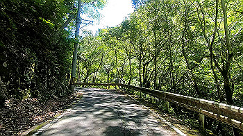 gx011931.mp4_snapshot_00.35_thumb.jpg