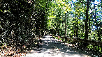 gx011931.mp4_snapshot_07.11_thumb.jpg