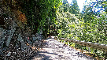 gx011931.mp4_snapshot_09.02_thumb.jpg