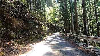 gx011931.mp4_snapshot_11.11_thumb.jpg