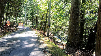 gx011934.mp4_snapshot_00.00_thumb.jpg