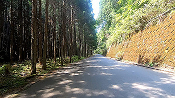 gx011939.mp4_snapshot_02.04_thumb.jpg