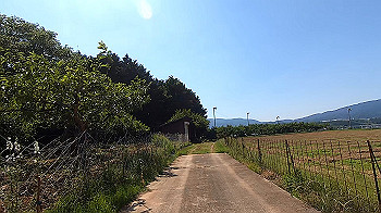 gx011946.mp4_snapshot_03.11_thumb.jpg