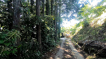 gx011946.mp4_snapshot_03.39_thumb.jpg