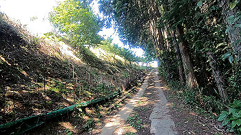 gx011946.mp4_snapshot_04.01_thumb.jpg