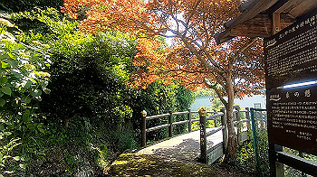 gx011948.mp4_snapshot_01.08_thumb.jpg