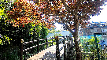 gx011948.mp4_snapshot_01.11_thumb.jpg