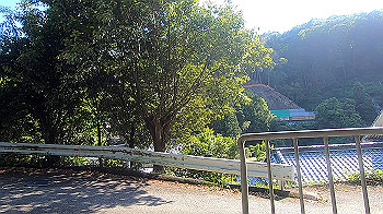 gx011959.mp4_snapshot_01.49_thumb.jpg