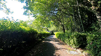 gx011960.mp4_snapshot_00.00_thumb.jpg