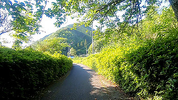 gx011960.mp4_snapshot_00.14_thumb.jpg