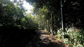 gx011960.mp4_snapshot_01.00_thumb.jpg