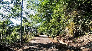 gx011960.mp4_snapshot_02.44_thumb.jpg