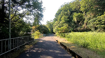gx011960.mp4_snapshot_05.33_thumb.jpg