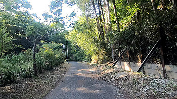 gx011962.mp4_snapshot_00.55_thumb.jpg