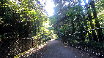 gx011962.mp4_snapshot_01.41_thumb.jpg