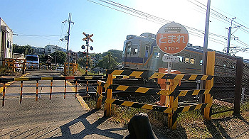gx011963.mp4_snapshot_00.13_thumb.jpg