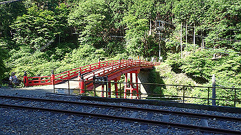 p5310008_thumb.jpg