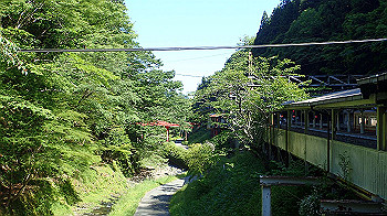 p5310011_thumb.jpg