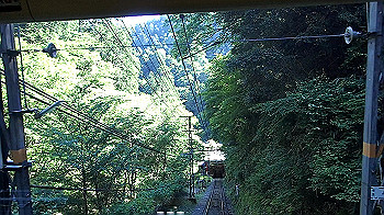 p5310023.mov_snapshot_00.37_thumb.jpg