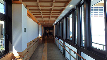 p5310025_thumb.jpg